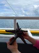 상품-리뷰-이미지