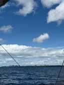 상품-리뷰-이미지