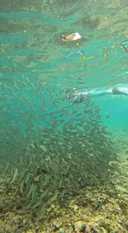 상품-리뷰-이미지