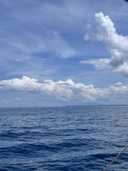 상품-리뷰-이미지