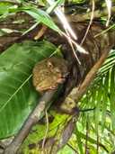 상품-리뷰-이미지