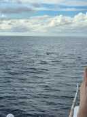 상품-리뷰-이미지