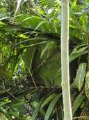 상품-리뷰-이미지