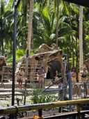 상품-리뷰-이미지