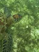 상품-리뷰-이미지