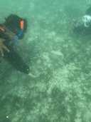 상품-리뷰-이미지