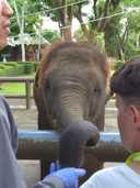 상품-리뷰-이미지