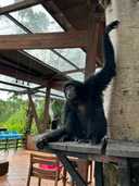 상품-리뷰-이미지