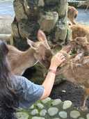 상품-리뷰-이미지