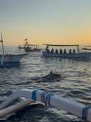 상품-리뷰-이미지