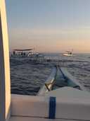 상품-리뷰-이미지