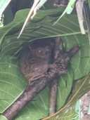 상품-리뷰-이미지