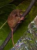 상품-리뷰-이미지