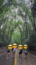 상품-리뷰-이미지