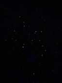 상품-리뷰-이미지