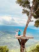 상품-리뷰-이미지