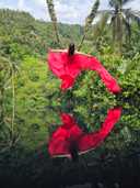 상품-리뷰-이미지