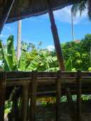 상품-리뷰-이미지