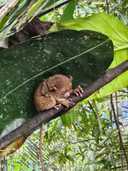 상품-리뷰-이미지