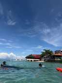 상품-리뷰-이미지