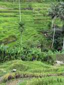 상품-리뷰-이미지