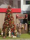 상품-리뷰-이미지