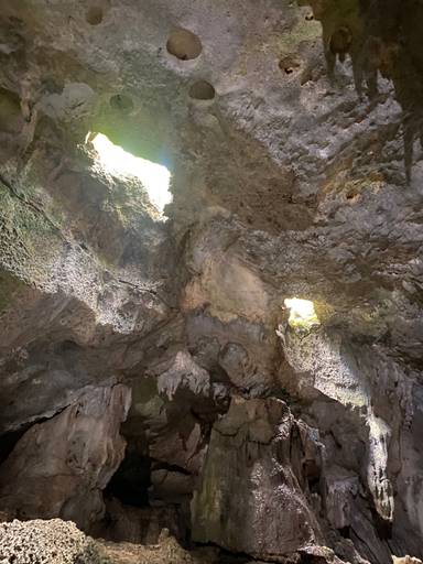 상품-리뷰-이미지