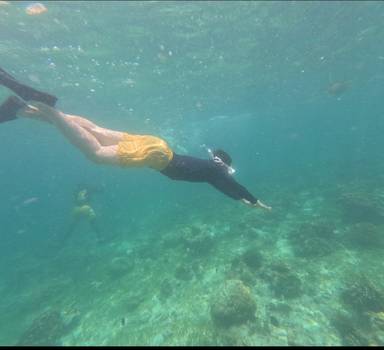 상품-리뷰-이미지