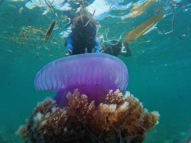 상품-리뷰-이미지