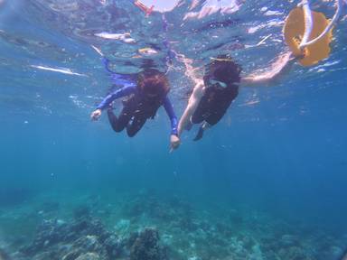 상품-리뷰-이미지