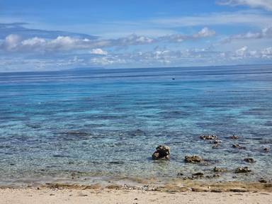 상품-리뷰-이미지