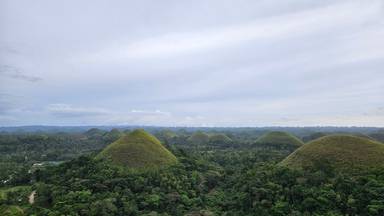 상품-리뷰-이미지