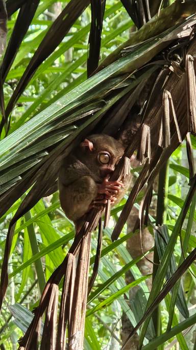 상품-리뷰-이미지