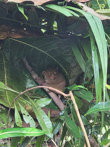 상품-리뷰-이미지