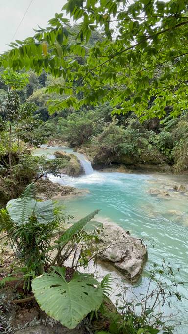 상품-리뷰-이미지