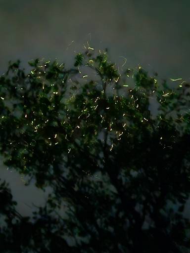 상품-리뷰-이미지