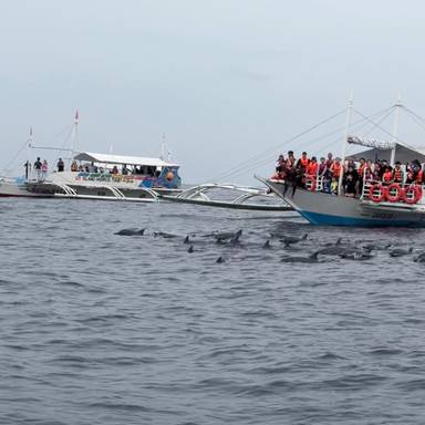 상품-리뷰-이미지