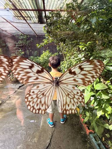 상품-리뷰-이미지