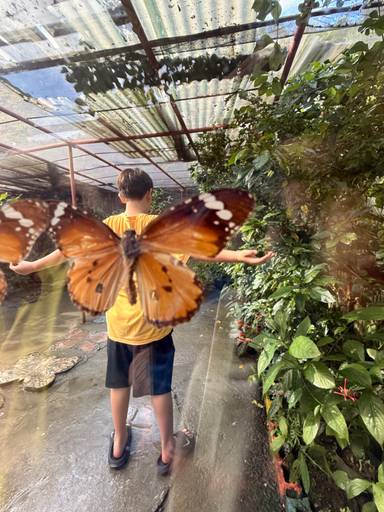 상품-리뷰-이미지