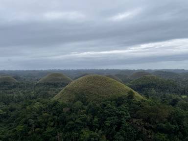 상품-리뷰-이미지