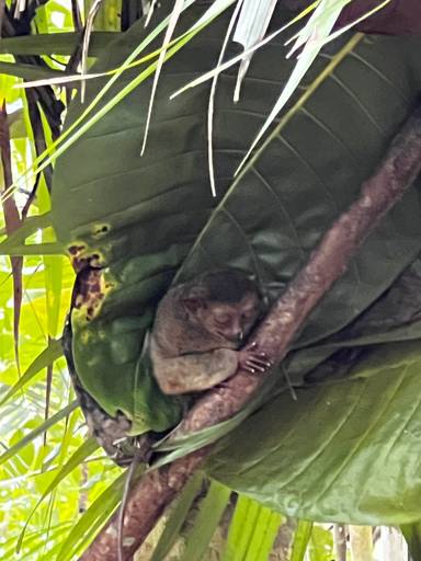 상품-리뷰-이미지