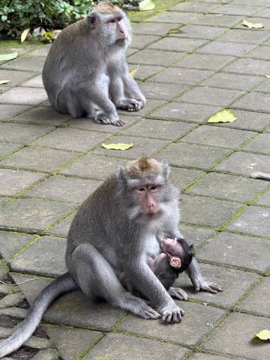 상품-리뷰-이미지