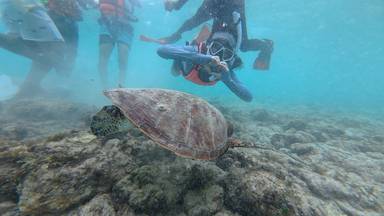 상품-리뷰-이미지