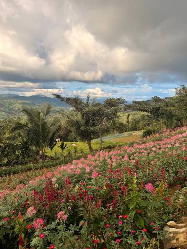 상품-리뷰-이미지