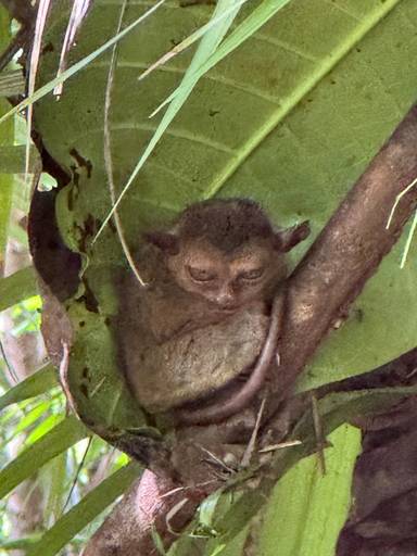 상품-리뷰-이미지