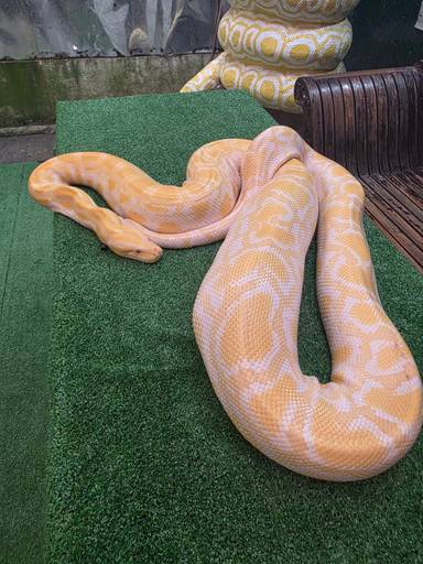 상품-리뷰-이미지