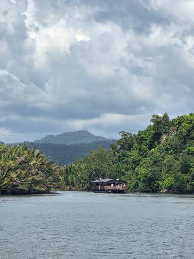 상품-리뷰-이미지