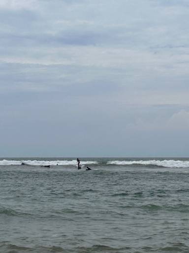 상품-리뷰-이미지