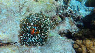 상품-리뷰-이미지