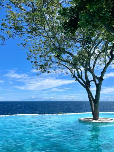 상품-리뷰-이미지